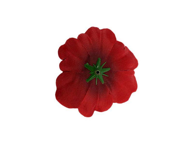 Anemon główka 7 cm  czerwony