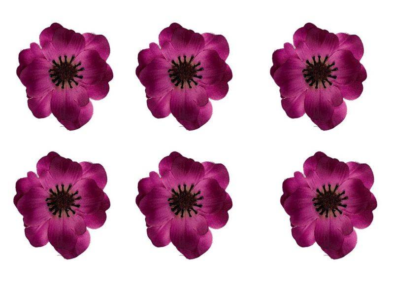 Anemon główka 6 cm ciemny róż 6 sztuk