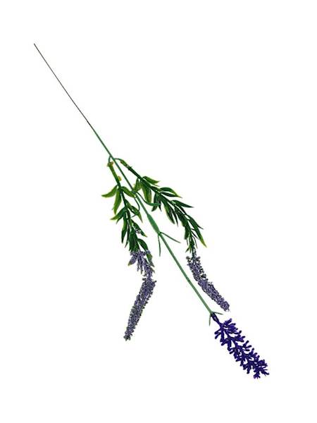 Lawenda gałązka 52 cm