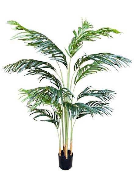 Palma drzewo 150 cm