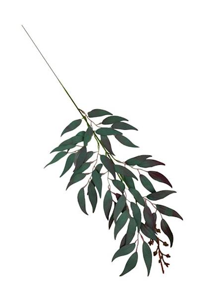 Ruskus gałązka 61 cm zielony omszony z fioletem