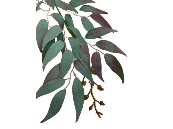 Ruskus gałązka 61 cm zielony omszony z fioletem