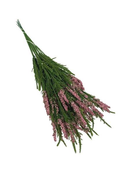 Wrzos gałązka 40 cm brudny róż