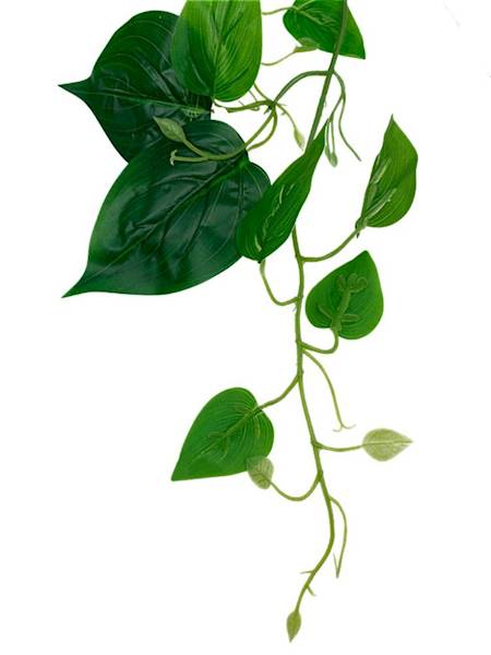 Bluszcz bukiet 100 cm zielony