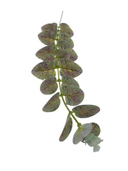 Eukaliptus gałązka 54 cm zielono fioletowa