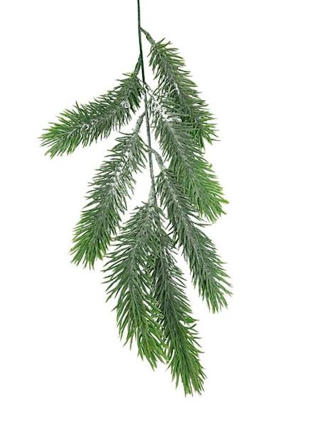 Jodełka gałązka bielona 48 cm jasno zielona