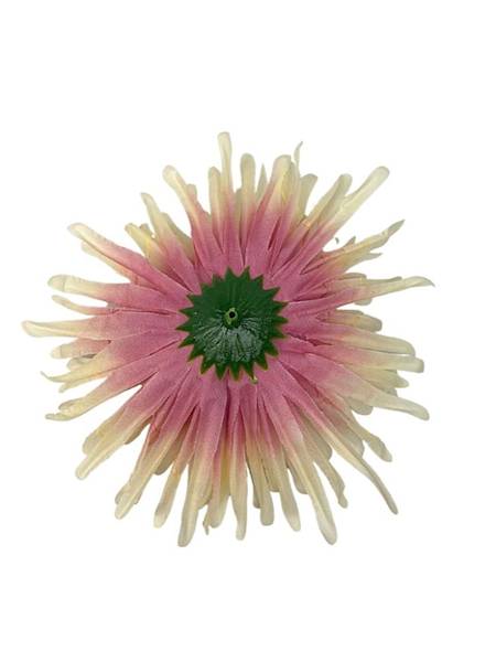 Chryzantema główka 14 cm kremowo różowa