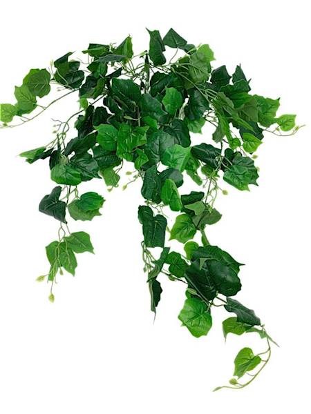 Bluszcz bukiet 100 cm zielony