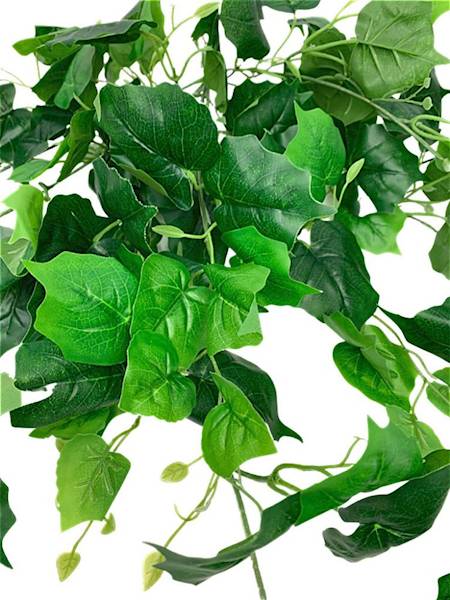 Bluszcz bukiet 100 cm zielony