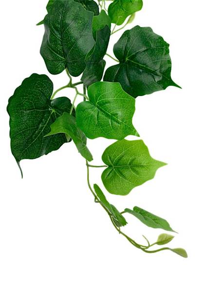 Bluszcz bukiet 100 cm zielony