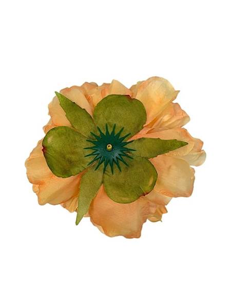 Piwonia główka 15 cm jasno pomarańczowa