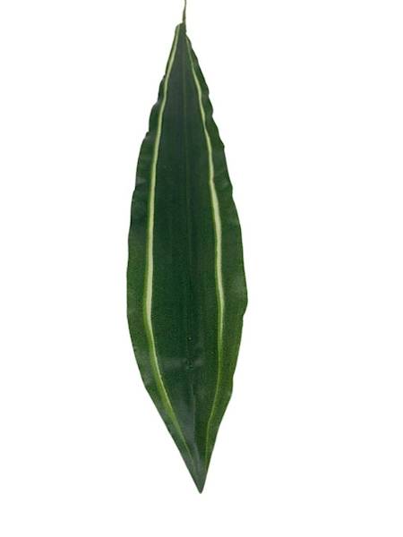 Liść draceny 53 cm zielony z kremowymi paskami