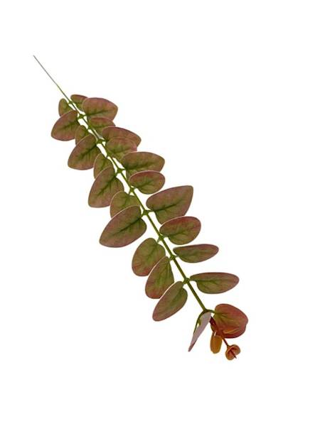 Eukaliptus gałązka 54 cm zielono czerwona