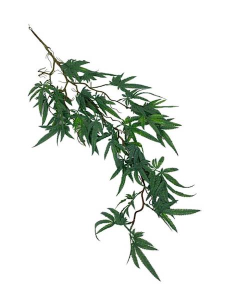 Klon girlanda 90 cm zielona