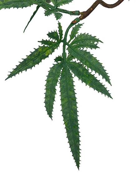 Klon girlanda 90 cm zielona