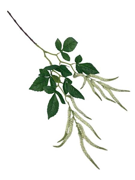 Szarłat amarantus 95 cm biały