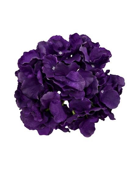 Hortensja duża główka 21 cm ciemny fiolet