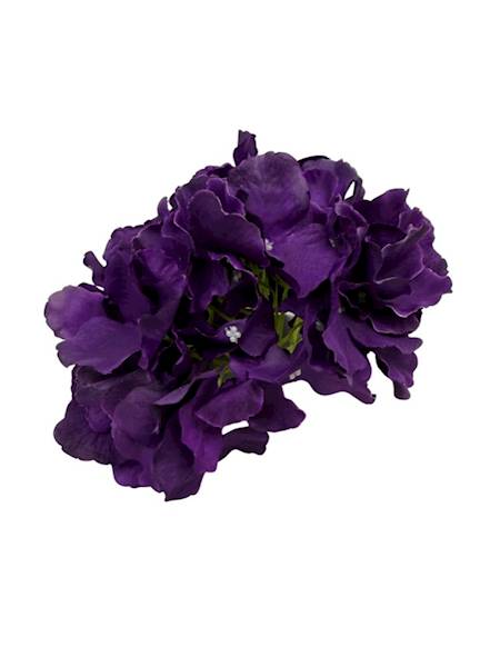 Hortensja duża główka 21 cm ciemny fiolet