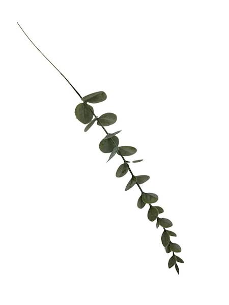 Eukaliptus gałązka 38 cm zielony bielony