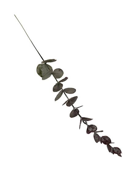 Eukaliptus gałązka 38 cm zielono różowy