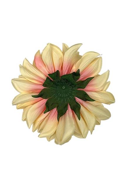 Dalia główka 15 cm jasno żółta z różem