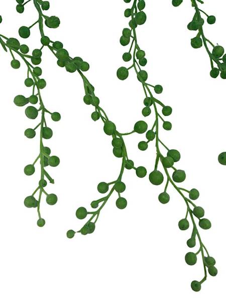 Sukulent senecio 60 cm zielony