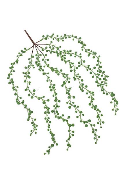 Sukulent senecio 60 cm pastelowa zieleń