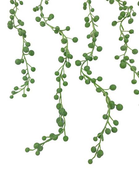 Sukulent senecio 60 cm pastelowa zieleń