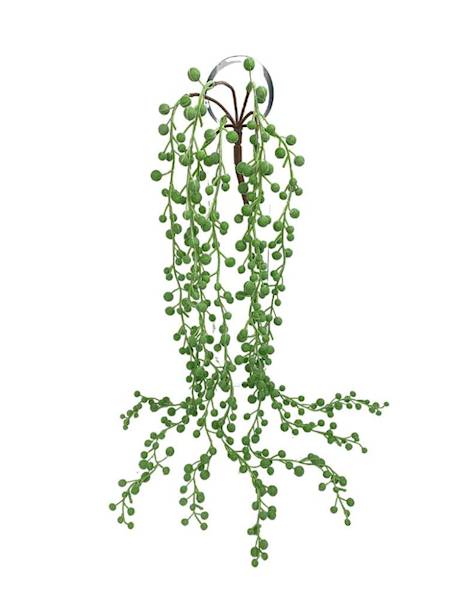 Sukulent senecio 60 cm pastelowa zieleń