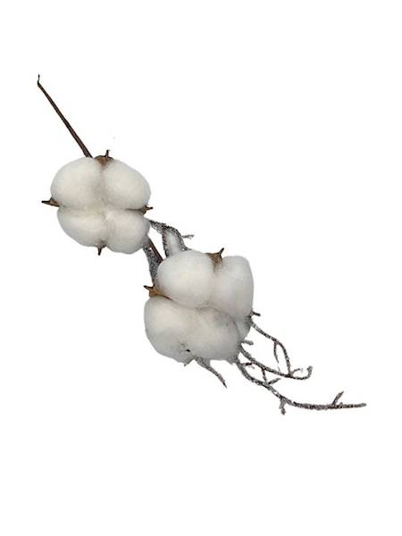 Bawełna na piku 30 cm biała