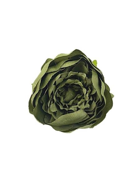 Piwonia główka 12 cm ciemno zielona