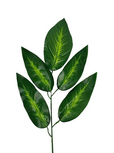 Liść mango 56 cm zielony