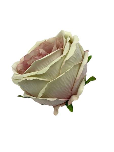 Róża główka 11 cm róż i krem