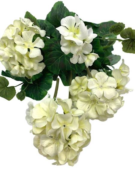 Bukiet pelargonia 45 cm kremowa