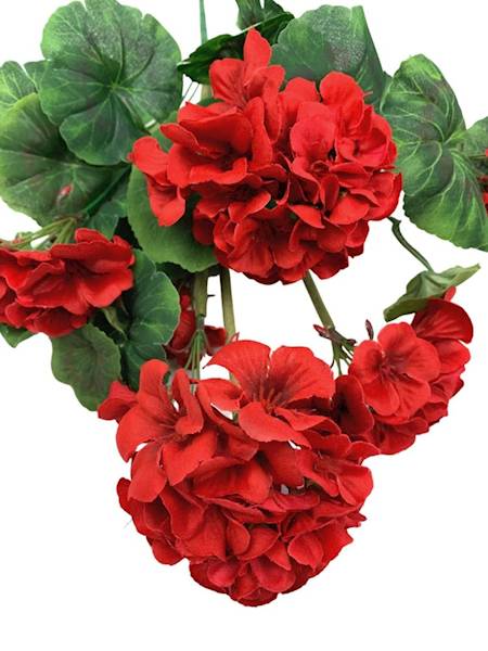 Bukiet pelargonia 45 cm czerwona