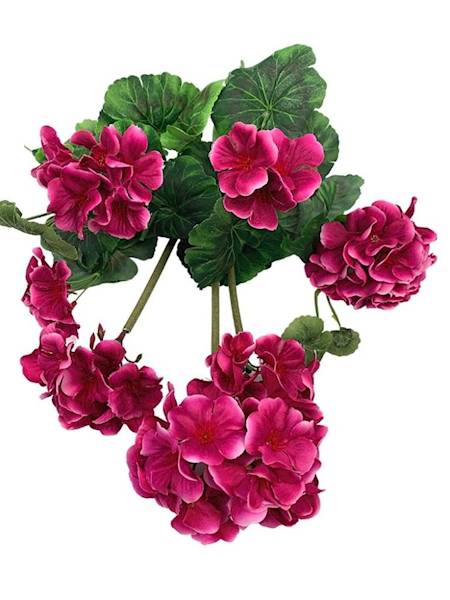 Bukiet pelargonia 45 cm fuksja