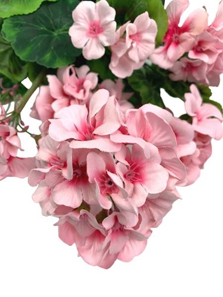 Bukiet pelargonia 45 cm jasny róż