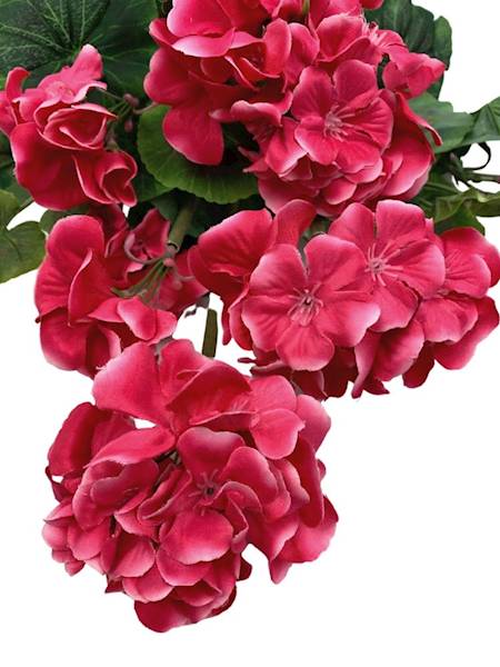 Bukiet pelargonia 45 cm różowa