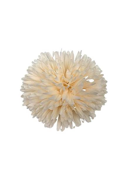 Czosnek chryzantema główka 14 cm kremowy