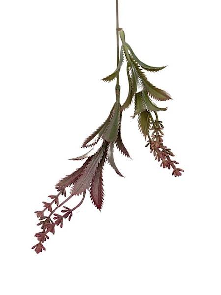 Dodatek plastikowy 42 cm bordo