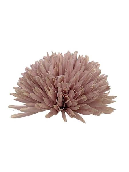 Czosnek chryzantema główka 14 cm brudny róż