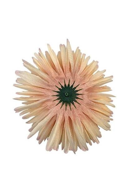 Czosnek chryzantema główka 14 cm brzoskwiniowy