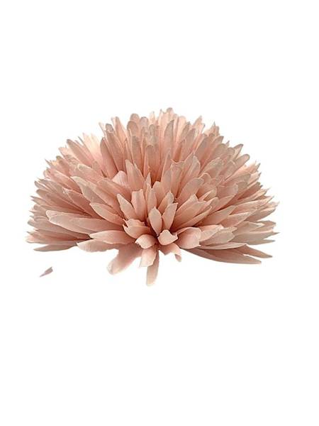 Czosnek chryzantema główka 14 cm jasny róż