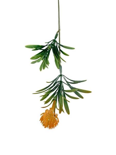 Czosnek gałązka 36 cm pomarańczowy