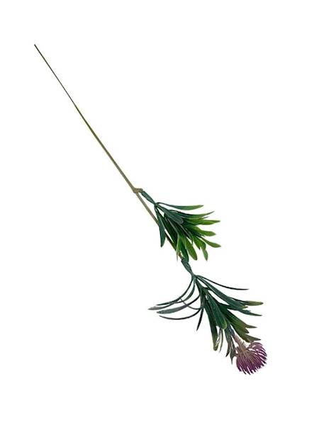 Czosnek gałązka 36 cm fiolet