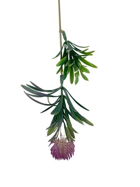 Czosnek gałązka 36 cm fiolet