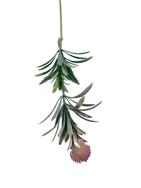 Czosnek gałązka 36 cm brudny róż