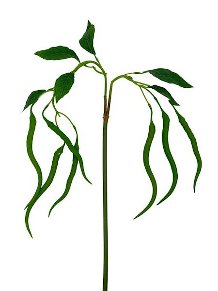 Fasola gałązka ozdobna 110 cm 