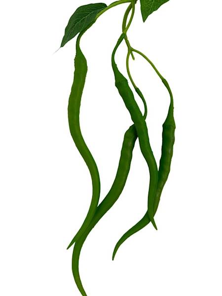 Fasola gałązka ozdobna 110 cm 