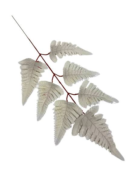 Liść pietrucha paproć 55 cm biały